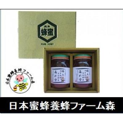 ふるさと納税 竹田市 【国産はちみつ】 日本純粋百花蜂蜜 「森の蜜」 600g×2本 計1200g 化粧箱入り