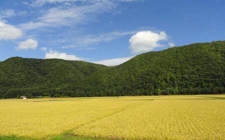 愛別町への寄附 5,000円 （返礼品はありません）