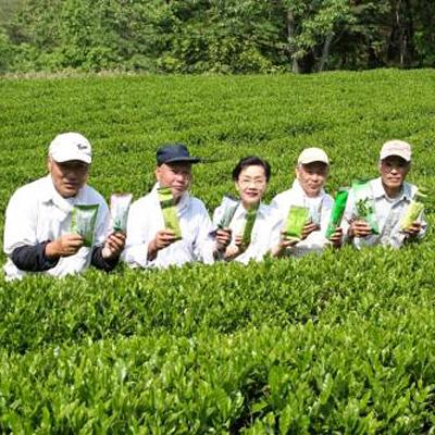 ふるさと納税 朝来市 【農薬不使用】朝来みどり お茶セット |  | 02