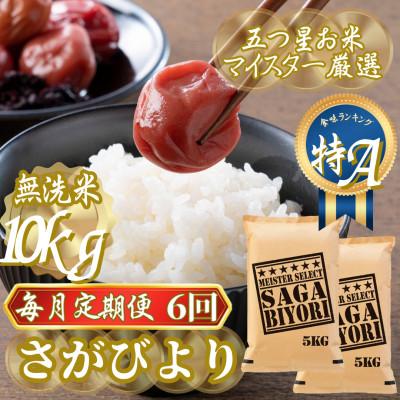 ふるさと納税 吉野ヶ里町 【毎月定期便】【無洗米】さがびより10kg(5kg×2袋)(吉野ヶ里町)全6回
