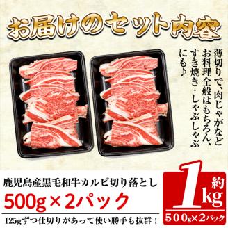 a328 鹿児島産黒毛和牛 カルビ切り落とし肉1kg(500g×2パック)(計1kg・500g×2P)【財宝】