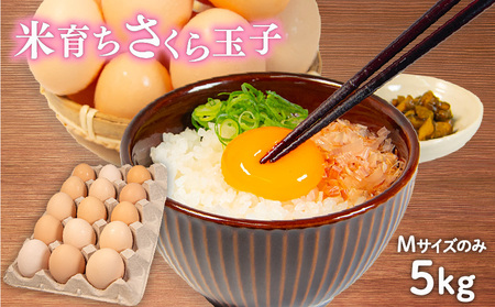 卵 5kg 割れ補償 5個 Mサイズ のみ 約 80個 国産 米育ち さくら玉子 さくら卵 鶏 さくら コク 濃い 卵黄 風味 とれたて 生 たまご 地産地消  国産鶏 玉子 産みたて 新鮮 黄身 卵 かけ ご飯 たまご かけ ごはん 玉子 丼  卵 焼き すき焼き 目玉 焼き 玉子 スープ 茶碗蒸し ゆで たまご サンド 大容量 滋賀県 