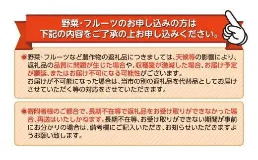 【先行予約 2027年3月順次発送 国産 じゃがいも】掘りたてメークイン 4kg  新じゃが  丸新柴本製茶 静岡 県 牧之原市