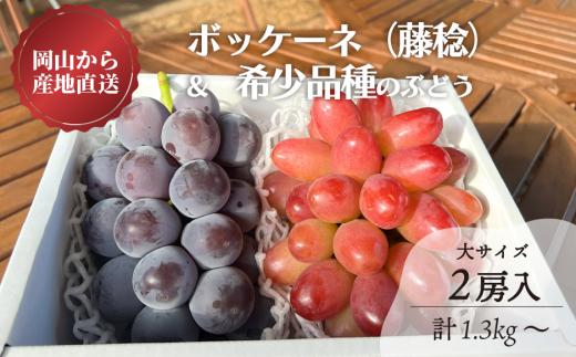 KF-B004-02【きよとうファーム】藤稔と赤色葡萄の特大２房入/計1.3kg~ (岡山県産)
