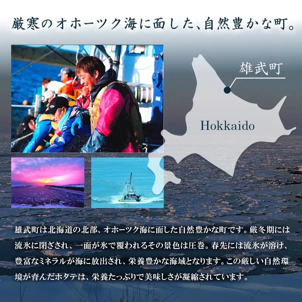 【ふるなびWEEK対象】北海道雄武町産ほたて貝柱 中小混合 200g×3 (冷凍) 使い切りパックFN-Limited-PR【0719501】