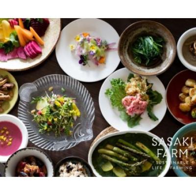 ふるさと納税 洞爺湖町 佐々木ファームよりお届けする旬の野菜詰め合わせ　〜ありがとうBOX 2025・中〜 |  | 01