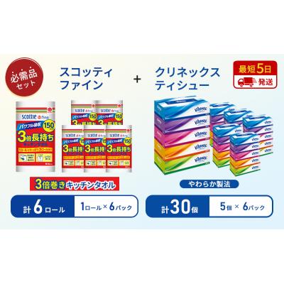 ふるさと納税 岩沼市 ティッシュ+キッチンペーパー6P[No.5704-1802] |  | 01