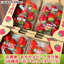 【ふるさと納税】佃農園のこだわり【いちご】3品種食べ比べセット（4パック）　【 果物 フルーツ 果実 古都華 奈乃華 あすかルビー デザート 食後 おやつ ビタミンC 国産 奈良県産 】　お届け：2025年1月中旬～2025年4月上旬