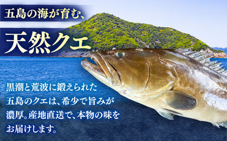 【全12回定期便】クエ鍋用クエパック500g×2 五島市/金沢鮮魚 クエ くえ 鍋 お鍋 冬 高級 贅沢[PEP052]