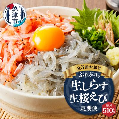 ふるさと納税 焼津市 【定期便 3回】 焼津産生しらす(100g×3) 生桜えび(70g×3個)(a30-221)