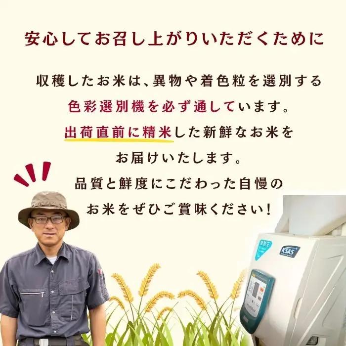 コシヒカリ 5kg 木内ファーム コシヒカリ 7-8C