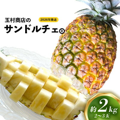 【ふるさと納税】玉村商店のサンドルチェ　2～3玉（約2kg） 2026年発送 沖縄県産 東村 パイナップル ジューシー 希少 高級フルーツ 南国フルーツ 国産フルーツ 農家直送 パイン 果物 贈り物 おすすめ お土産 人気 やんばる 大自然 南国気分 沖縄本島北部