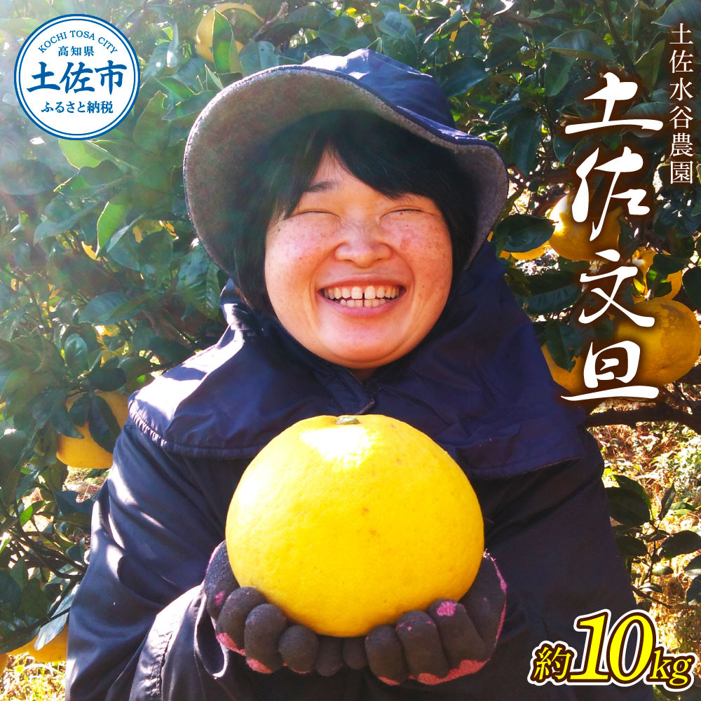 
            本場、高知県土佐市産！土佐水谷農園の露地土佐文旦 約10キロ 10kg（3L～5L） 文旦 ぶんたん ブンタン 土佐文旦 柑橘 フルーツ 果物 ご当地 お取り寄せ 土佐 高知
          