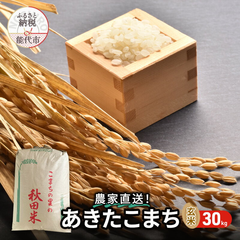 【ふるさと納税】秋田県産 あきたこまち 30kg 令和7年産 玄米 [ ご飯 ブランド米 おにぎり 本場 お米 産地直送 おこめ ごはん 秋田県 秋田 能代市 ] 　お届け：2026年1月中旬頃より順次発送予定