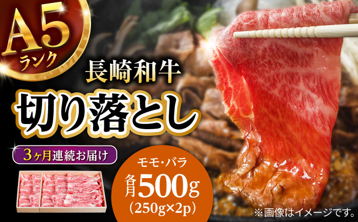 【3回定期便】【訳あり】切り落とし 赤身 モモ バラ 600g / 長崎和牛 A4～A5ランク ワケあり 小間切れ / 諫早市 / 野中精肉店 [AHCW012]