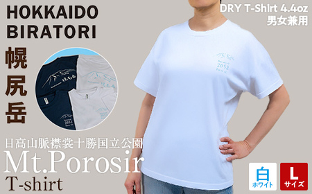 【日本百名山】幌尻岳記念Tシャツ 選べるサイズ S M L XL 選べる色 紺 白（白 Lサイズ） 【 ふるさと納税 人気 おすすめ ランキング Tシャツ シャツ 幌尻岳 山 記念Tシャツ 記念 日本百名山 お土産 ギフト 北海道 平取町 送料無料 】 BRTJ027