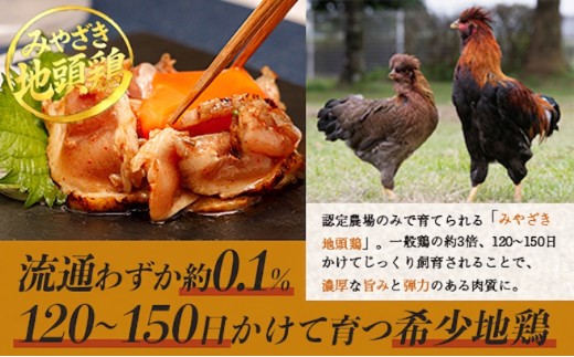 みやざき地頭鶏 炭火焼・たたき セット 約1.1kg 計10P タレ付き 大容量 冷凍｜鶏肉 地鶏 炭火焼 鶏たたき 備長炭 焼き鳥 晩酌 おかず 惣菜 ムネ肉 モモ肉 郷土料理 じとっこ おいしい 