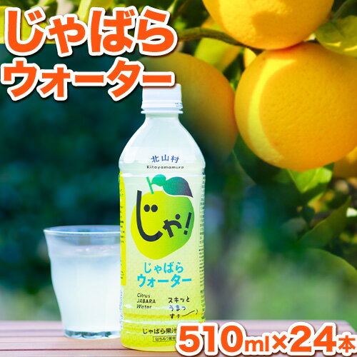 【ふるさと納税】じゃばらウォーター 510m×1ケース 24本入り 株式会社じゃばらいず北山《90日以内に出荷予定(土日祝除く)》和歌山県 日高町 じゃばら 邪払 柑橘 フルーツ ジュース