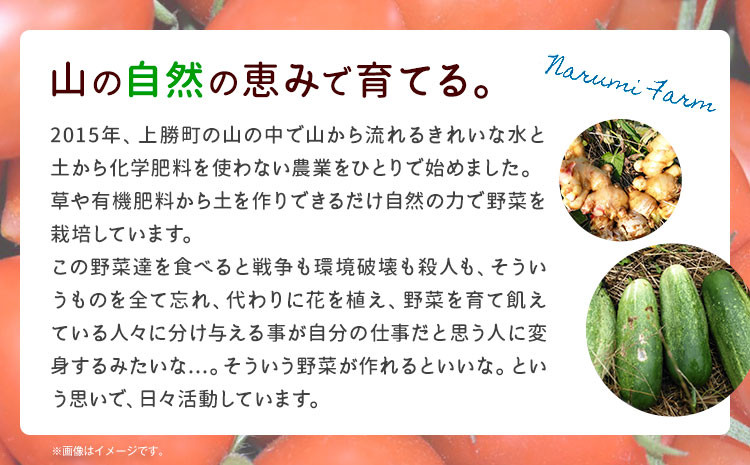 有機JAS認証を取得したミニトマト。きれいな水と土から生まれる優しい味をお届けしたいという思いから「上勝レッド」と名付けました。