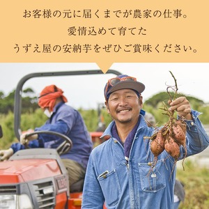n275 《訳あり》先行予約受付中！2024年10月下旬より順次発送予定！種子島産 安納芋＜紅＞(期間限定容量6kg) 国産 安納芋 紅 種子島 芋 イモ いも さつまいも さつま芋 安納いも 野菜【