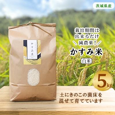 ふるさと納税 潮来市 令和7年産新米　栽培期間出来るだけ農薬を減らして作った「かすみ米」白米 5kg