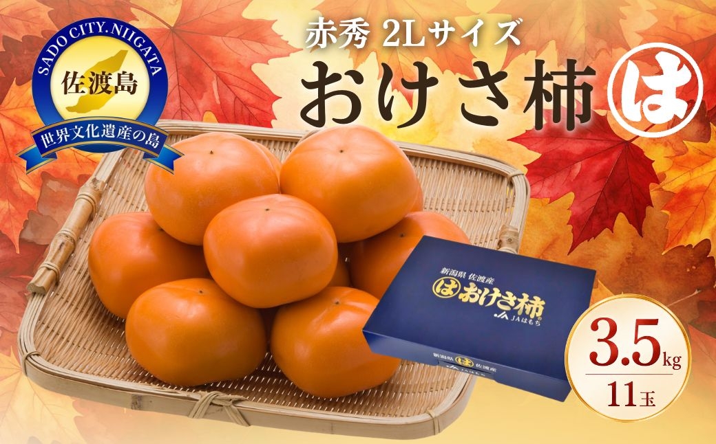 
                  【先行予約 2026年10月中旬より順次発送】佐渡産おけさ柿 赤秀2Lサイズ11玉 3.5kg 種なし 化粧箱入り 刀根早生・平核無 | 新潟県産柿 新潟産柿 佐渡産柿 佐渡島産かき たねなし柿 種無し柿 おけさ柿 柿 かき カキ フルーツ 果物 ギフト 贈答 南佐渡 にいがた さど 新潟県 佐渡市
                