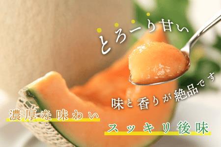 ★先行予約★3074.摩周メロン秀品２玉入り（1.3kg以上）※8月上旬より順次発送予定※