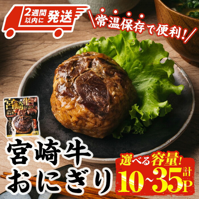 【ふるさと納税】＜内容量が選べる・2週間以内発送！＞ 宮崎牛 おにぎり (120g×計10P-計35P) 牛肉 ブランド牛 お弁当 レンジアップ 小分け 湯煎 個包装 おつまみ レトルト 常温 保存 ご当地 簡単調理【AP-79・AP-80】【株式会社 日向屋】