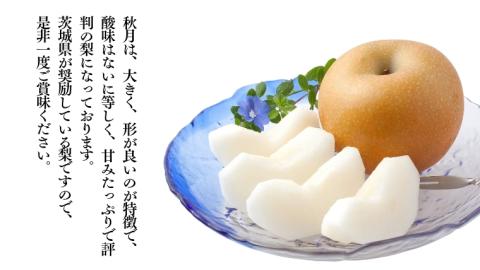 【 2025年 先行予約 】 厳選 2種！恵水 と 秋月 の 食べ比べセット 約5kg 8玉～10玉 【 茨城県共通返礼品 ／ 常陸太田市 】 2025年9月中旬発送 桧山果樹園[DU020sa]