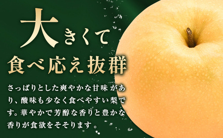 【先行予約】梨 岡山県産 新高梨 約3kg ( 4～6玉 ) 【配送不可地域あり】 株式会社藍《9月下旬-10月下旬頃出荷》 岡山県 浅口市 岡山県産 なし フルーツ 果物 くだもの ナシ 大玉 新高