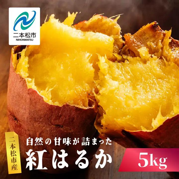 さつまいも 紅はるか 5kg ｜さつまいも【株式会社橋本】