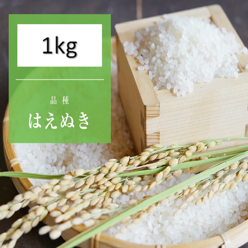 【ふるさと納税】【令和7年産新米】 天日干しの手間をかけた (新米はえぬき) 丹野さん家のコメ 精米 1kg FY25-333