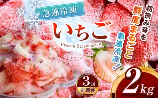 【定期便3回】冷凍いちご とちあいか 2kg カット済み | 定期便 訳あり 2026年 とちあいか いちご イチゴ 朝摘み 冷凍 ジャム カクテル スムージー フルーツ 苺 新鮮 日本一 栃木県 真岡市 送料無料