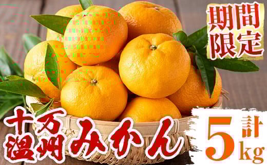 s765 ≪期間限定≫十万温州みかん(計約5kg・M～Lサイズ) 鹿児島 国産 九州産 フルーツ 柑橘 みかん 蜜柑 【田野農園】
