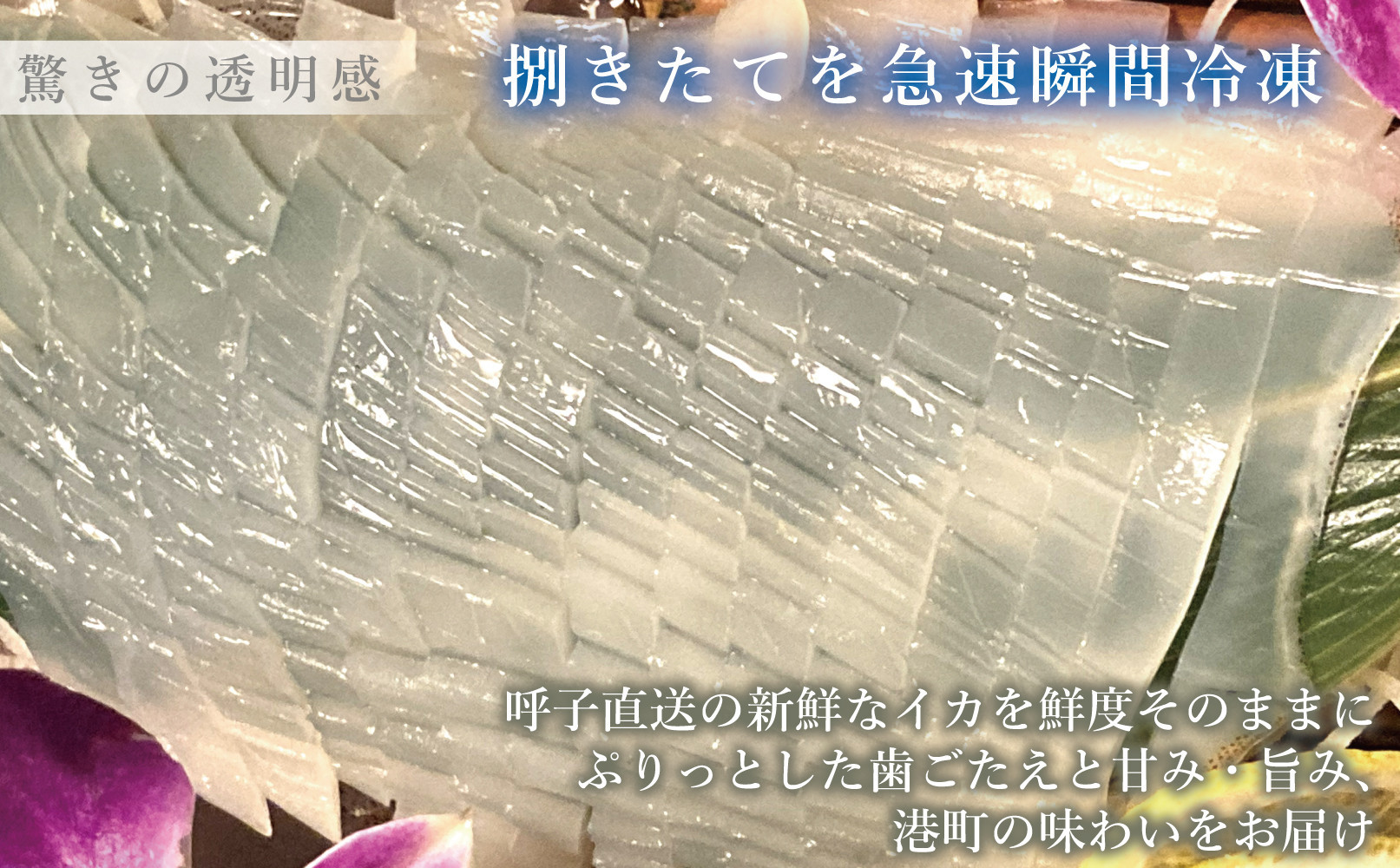 呼子イカ姿造り500ｇ