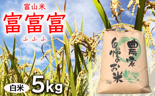 【令和8年度米】【新米予約】農家直送「富富富」5kg（白米）｜富山米 ふふふ　※2026年9月～発送