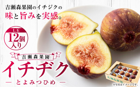 【先行予約】 吉瀬森果園 イチジク （とよみつひめ） L玉 12個入り 【2026年7月下旬-9月下旬発送予定】 いちじく 果物 くだもの フルーツ 果実 オリジナル品種 ハウス栽培 ゆりかーご お取り寄せ 福岡県 うきは市 冷蔵