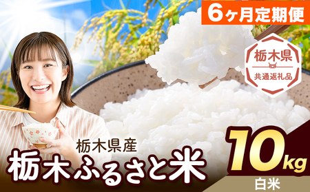 【6ヶ月定期便】米 栃木 ふるさと米 白米 10kg (5kg×2袋)《定期は翌月より出荷開始》栃木県 野木町 米 国産 お米 おこめ お弁当 おにぎり【栃木県共通返礼品】