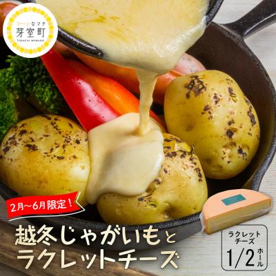 ふるさと納税 芽室町 越冬じゃがいも ラクレットチーズ1/2ホール(1,800g以上)me000-008c