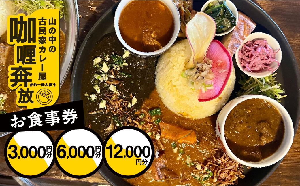 
                  【咖喱奔放】食事券（3,000円～12,000円分）カレーホンポウ 食事 カレー ランチ ディナー キッチンカー 飲食 テイクアウト 旅行 下呂市  食事券 下呂 岐阜県
                
