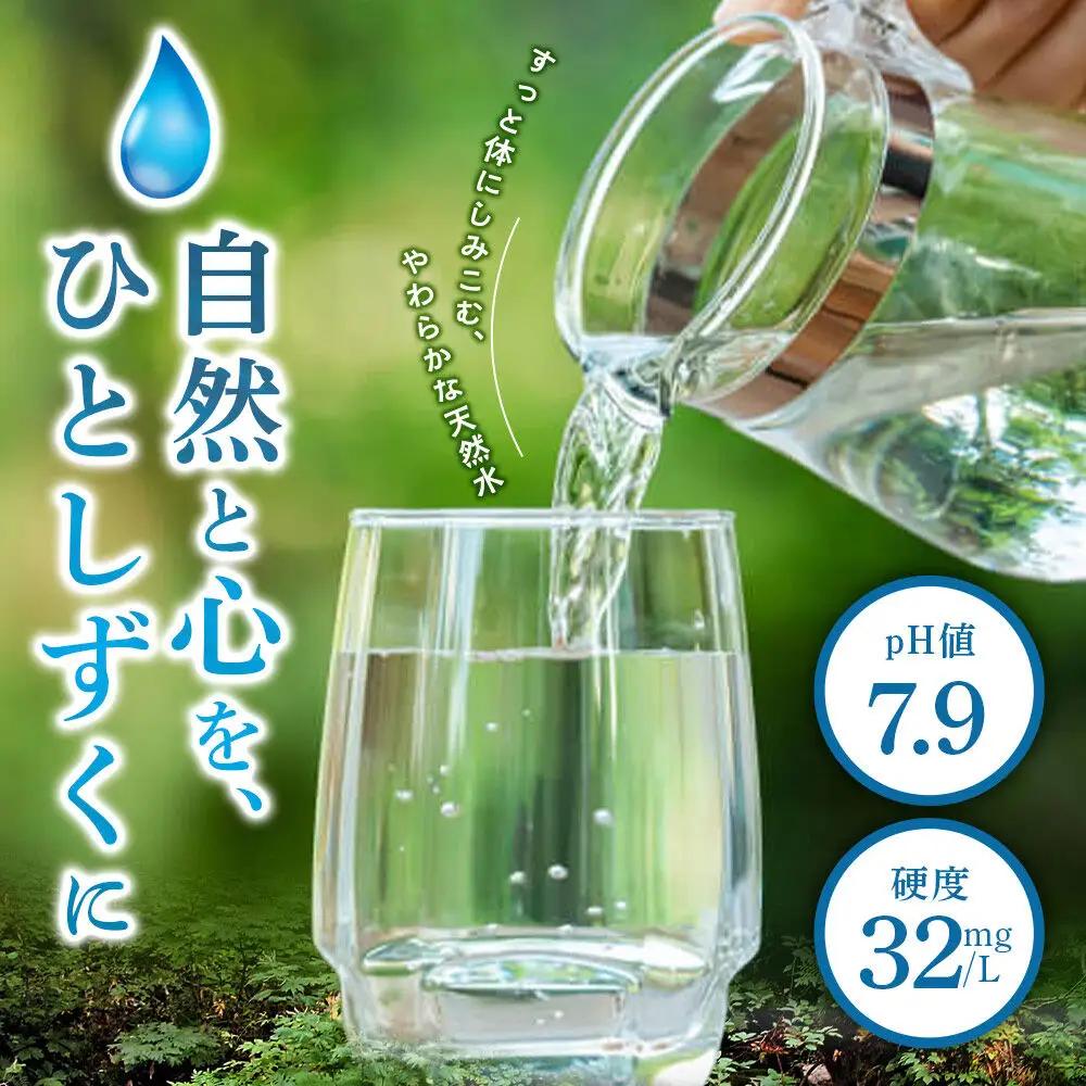水 《定期便10ヶ月》【ラベルレス】国産 ミネラルウォーター ピュアの森 2L 6本×1箱