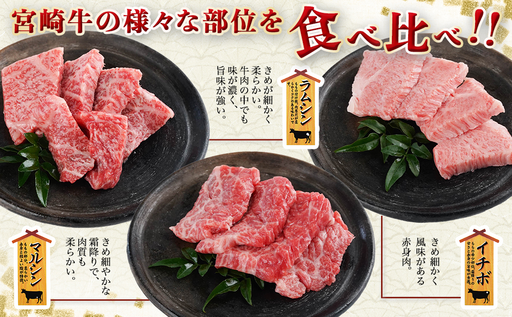 【お中元】【数量限定】宮崎牛9種盛り焼肉セット_22-3101-SG