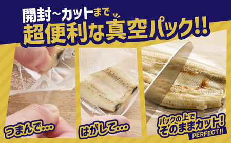 2080-1 鹿児島県 大隅産 うなぎ 白焼き 3尾  計360g 【 3ヶ月 定期 】 KN007-T02 魚 冷凍 鰻