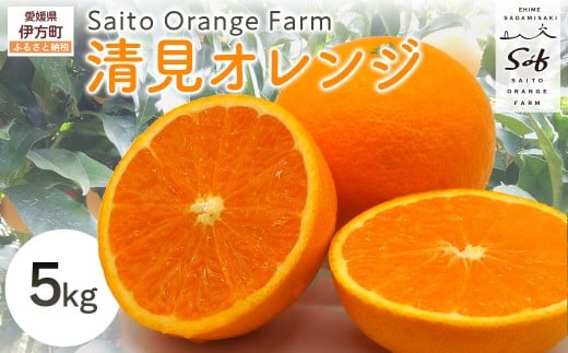 【先行予約】Saito Orange Farmの清見オレンジ5kg（2026年3月中旬頃より順次発送） 【 ふるさと納税 人気 おすすめ ランキング みかん ミカン 蜜柑 柑橘 清見 オレンジ 清見オレンジ フルーツ 果物 産地直送 西宇和 Saito Orange Farm 愛媛県産 愛媛県 伊方町 送料無料 】 IKTAQ007