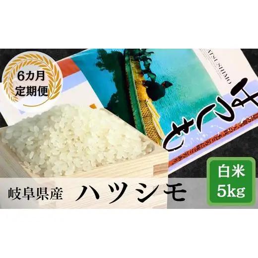 ≪令和7年産≫【6か月定期便】岐阜ハツシモ5kg