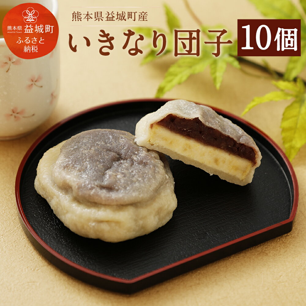 【ふるさと納税】 ＜ R8年熊本地震復興支援 ＞ いきなり団子 約90g×10個入り いきなり団子 団子 和菓子 饅頭 さつまいも スイーツ 熊本名物 熊本 郷土菓子 冷凍 送料無料