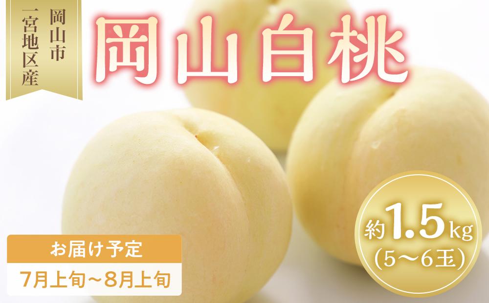 桃 2024年 先行予約 岡山 白桃 5～6玉入 約1.5kg 岡山市一宮地区産 もも モモ フルーツ 果物 ギフト
