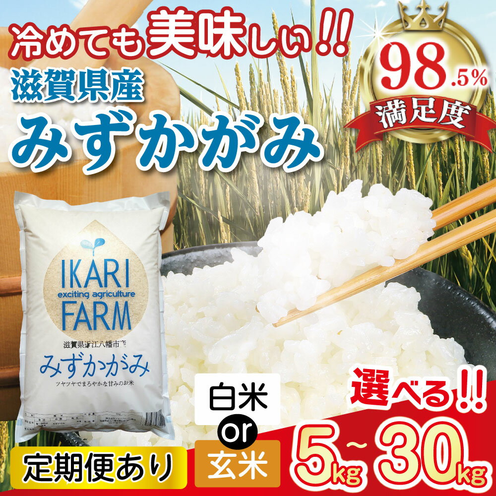 【ふるさと納税】令和7年産 冷めても美味しいあっさりとした味わい「みずかがみ」 近江米 滋賀県産 国産 5kg / 10kg / 30kg 定期便 選べる 白米 / 玄米