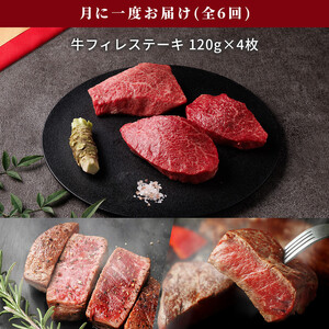 【和牛セレブ（6ヶ月定期便）】鳥取県産牛ヒレステーキ4枚×6か月間