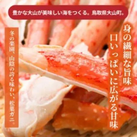 【2027年1月以降順次発送】[冷凍]訳あり松葉ガニ約2kg詰め合わせ　OM-13-2【配送不可地域：離島】【1745618】